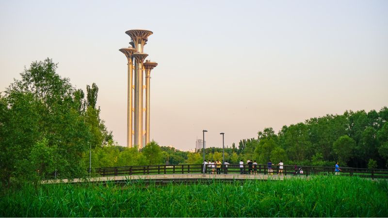 Không gian công viên Rừng Olympic 