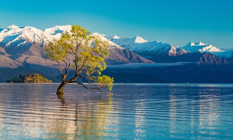 Hồ Tekapo thiên đường ngắm sao đẹp nhất Nam Đảo