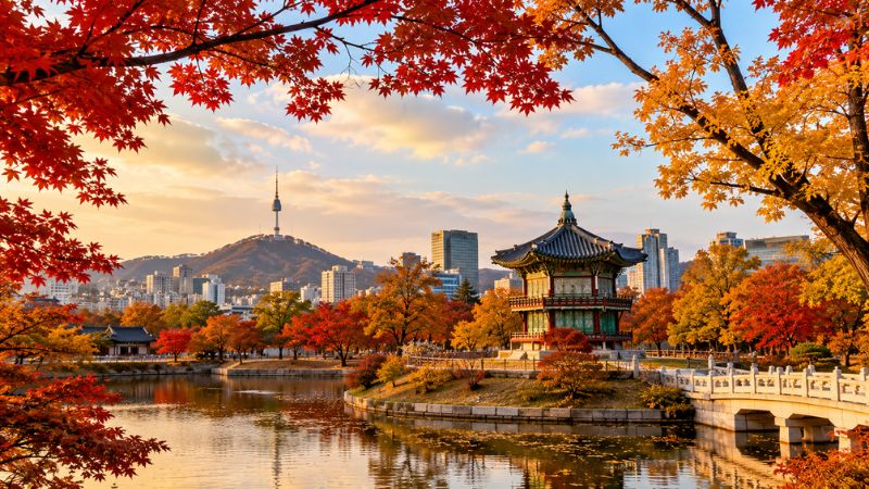 Mùa lá đỏ lãng mạn giữa lòng Seoul
