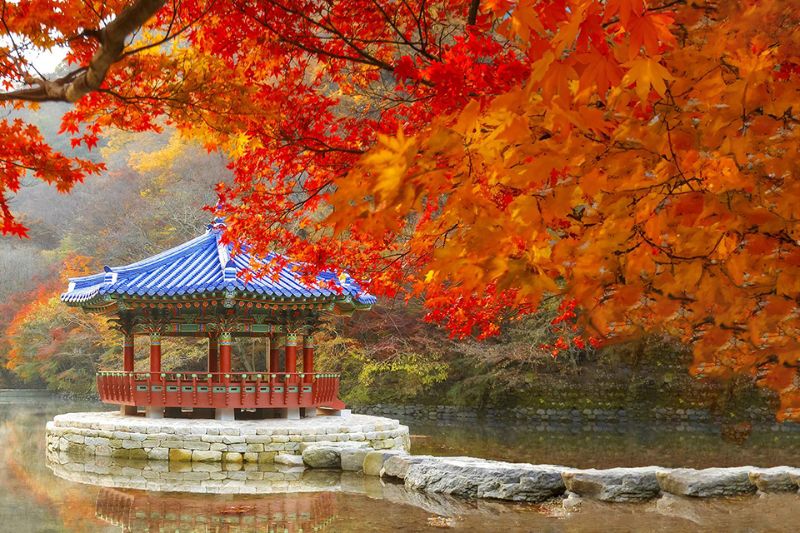Mùa thu trên thành phố biển Busan