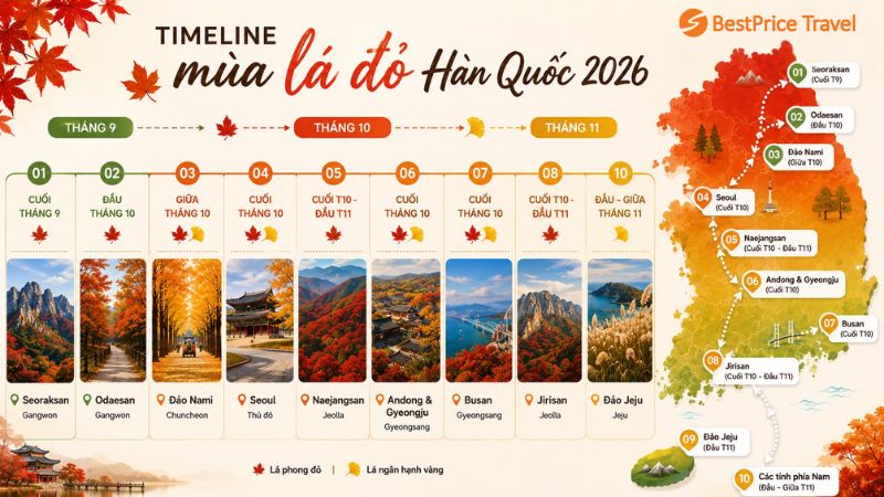 Timeline mùa lá đỏ Hàn Quốc 2026
