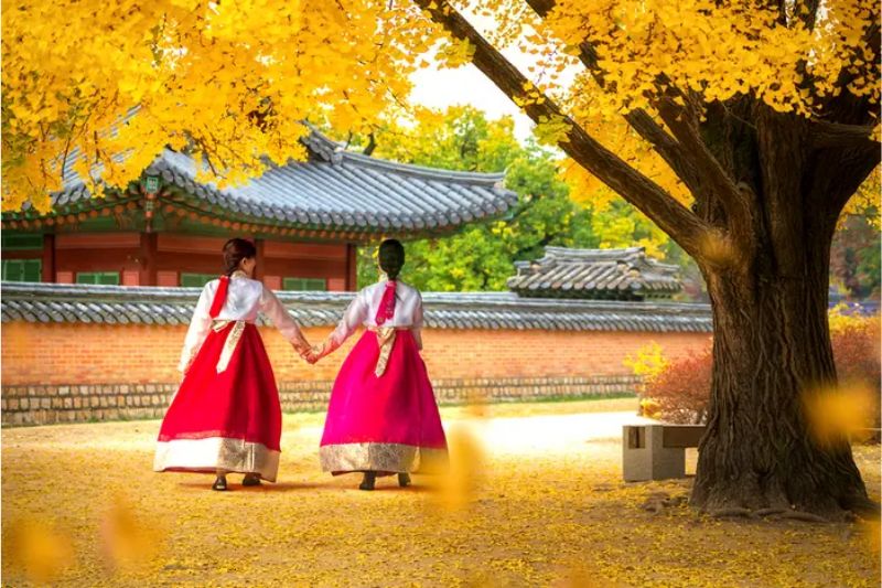 Trải nghiệm mặc Hanbok dạo bước dưới trời thu