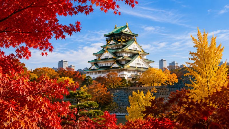 Lâu đài Osaka nổi bật giữa công viên ngập sắc đỏ, sắc vàng