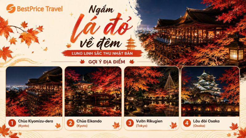 Ngắm lá đỏ Nhật Bản về đêm