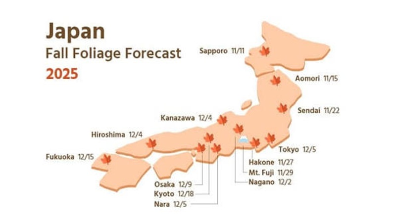 Lịch lá đỏ dự báo năm 2025