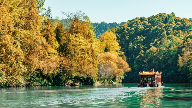 Khung cảnh Tr&ugrave;ng Kh&aacute;nh m&ugrave;a thu với h&agrave;ng c&acirc;y thay l&aacute; thơ mộng