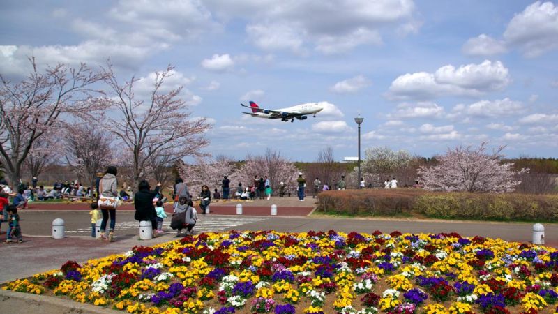 Sakura no Yama Park