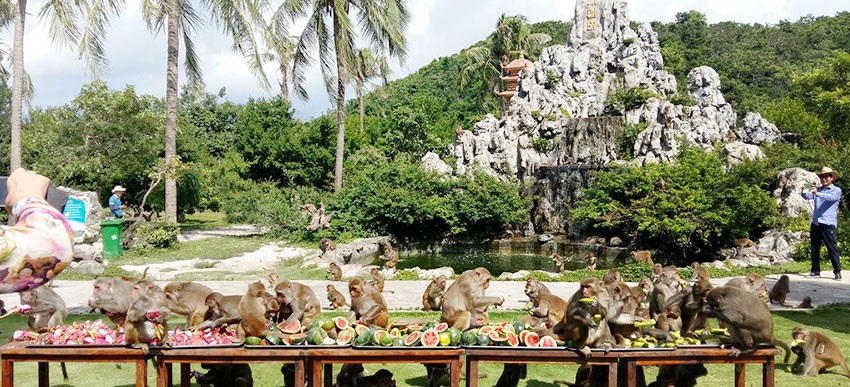 Đảo Khỉ - điểm đến thú vị ở Nha Trang