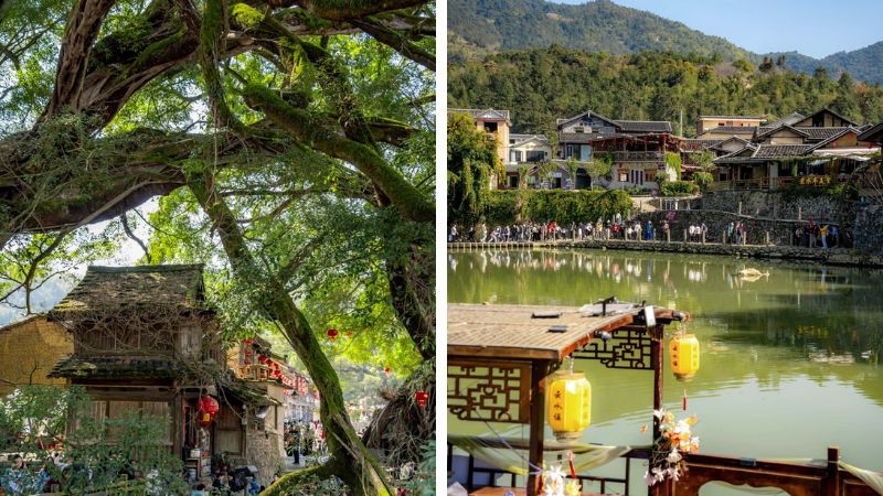 N&ecirc;n đặt sớm c&aacute;c dịch vụ v&eacute; m&aacute;y bay, kh&aacute;ch sạn,... để c&oacute; gi&aacute; tốt nhất