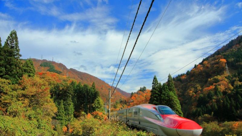 Ngắm l&aacute; đỏ khi đi t&agrave;u Shinkansen Nhật Bản