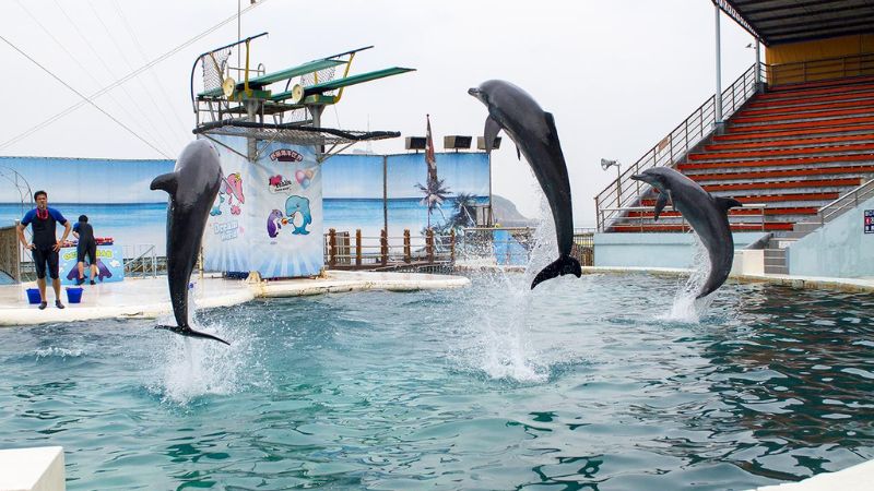 Công viên đại dương Yehliu Ocean World