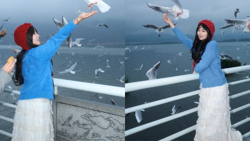 Dạo hồ Điền Trì ngắm chim hải âu (@欣丞大海)