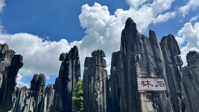 Khám phá rừng đá Thạch Lâm vào tháng 4 (@曾卓)