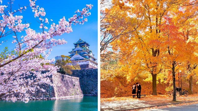 M&ugrave;a xu&acirc;n v&agrave; m&ugrave;a thu l&agrave; hai mua đẹp nhất để du lịch Osaka