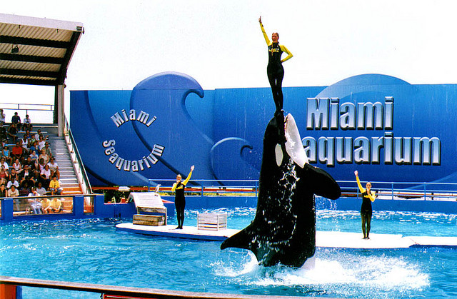 Thủy cung Miami Seaquarium