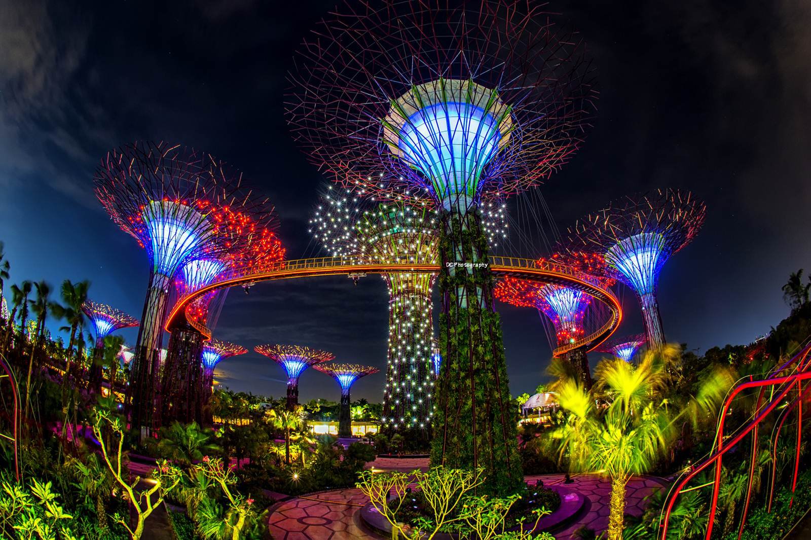 Singapore - Khám phá những sắc màu về đêm - BestPrice - BestPrice