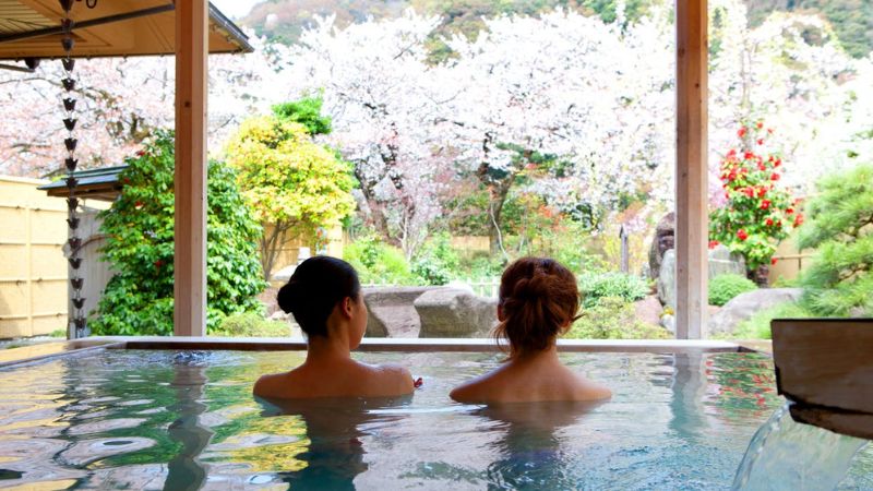 Onsen m&ugrave;a hoa anh đ&agrave;o