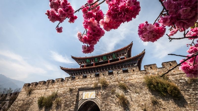 Th&agrave;nh cổ Đại L&yacute; rực rỡ trong sắc hoa