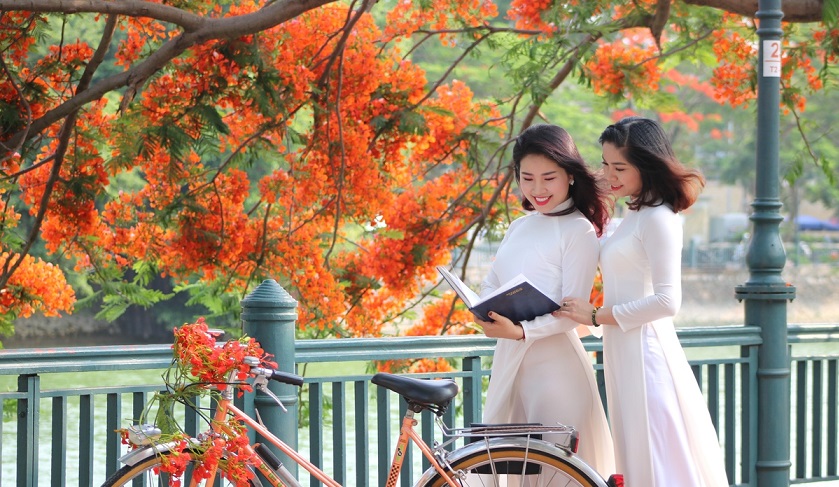 Thành phố hoa phượng đỏ - Hải Phòng