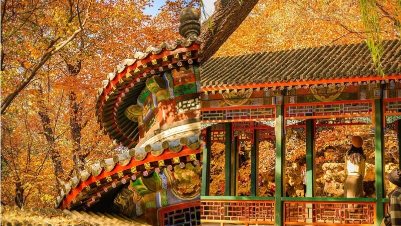 Mê mẩn cảnh sắc mùa thu tháng 10 ở Di Hòa Viên