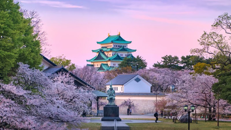 Cuối tháng 3 hoa anh đào bắt đầu nở ở Nagoya