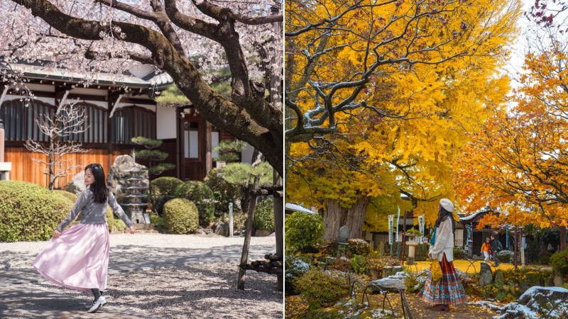 Nagoya đẹp nhất trong mùa xuân và mùa thu