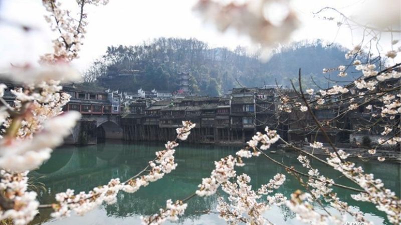 Thời tiết Phượng Ho&agrave;ng Cổ Trấn m&ugrave;a xu&acirc;n