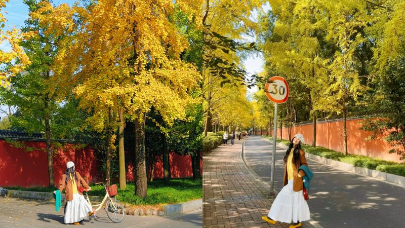 Du lịch Th&agrave;nh Đ&ocirc; m&ugrave;a thu l&aacute; v&agrave;ng