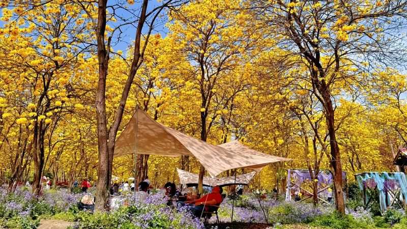 M&ugrave;a thu l&agrave; m&ugrave;a đẹp nhất du lịch Th&agrave;nh Đ&ocirc;