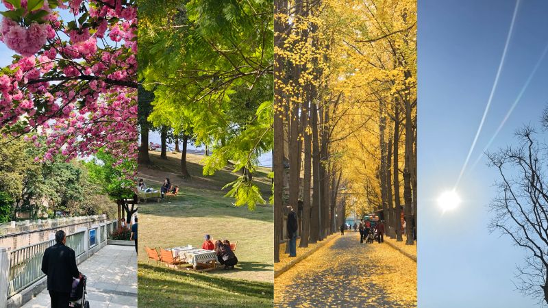 Th&agrave;nh Đ&ocirc; kh&ocirc;ng ph&acirc;n chia Xu&acirc;n Hạ Thu Đ&ocirc;ng r&otilde; r&agrave;ng