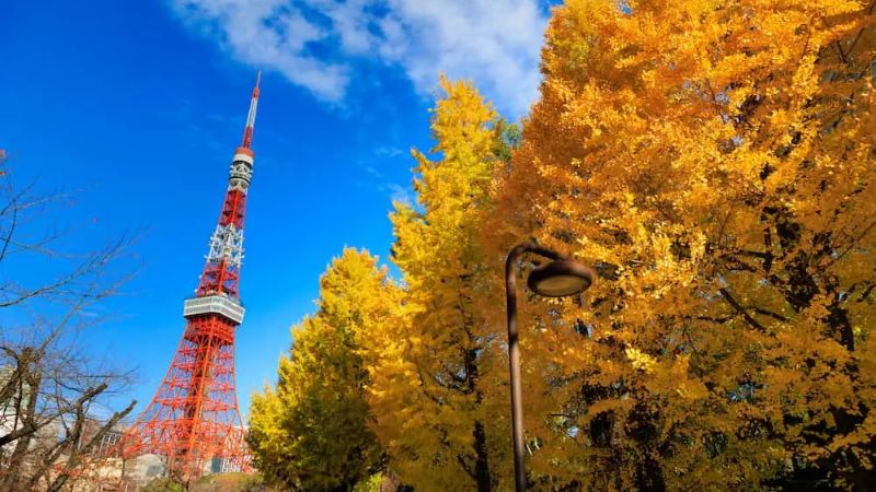 Thời tiết Tokyo m&ugrave;a thu