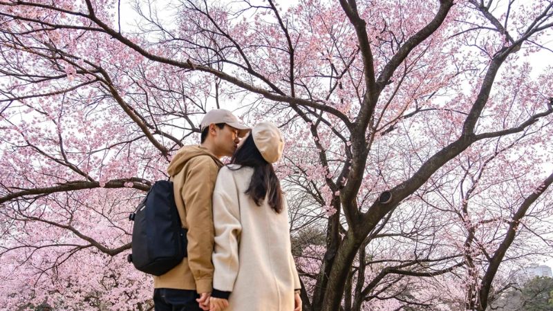 Thời tiết Tokyo m&ugrave;a xu&acirc;n