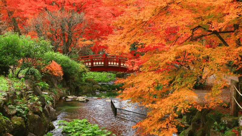Thời tiết Tokyo th&aacute;ng 11