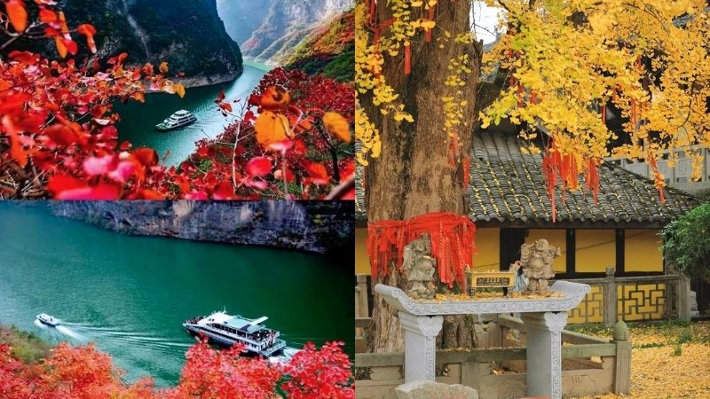 Thời tiết Tr&ugrave;ng Kh&aacute;nh m&ugrave;a thu ch&igrave;m trong l&aacute; thu