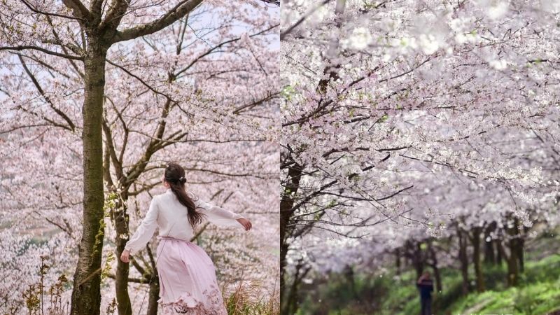 Thời tiết Trung Quốc mùa xuân