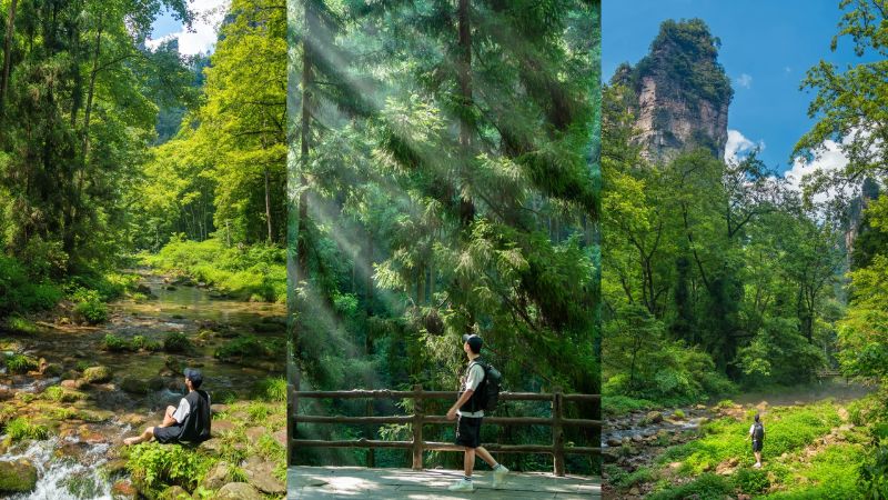 Cảm nhận thời tiết Trương Gia Giới th&aacute;ng 8 trong l&agrave;nh