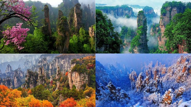 Thời tiết Trương Gia Giới cũng được chia 4 m&ugrave;a Xu&acirc;n Hạ Thu Đ&ocirc;ng