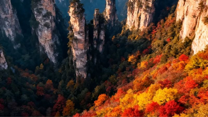 Trương Gia Giới đẹp nhất v&agrave;o m&ugrave;a thu