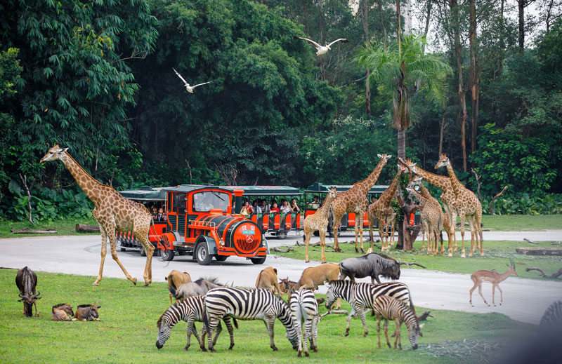 Công viên Safari Thượng Hải