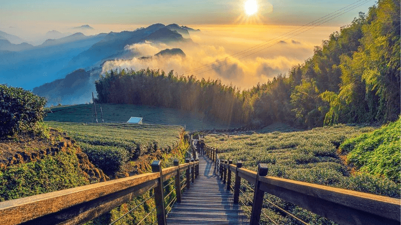 Kinh nghiệm du lịch Đài Loan mùa hè 