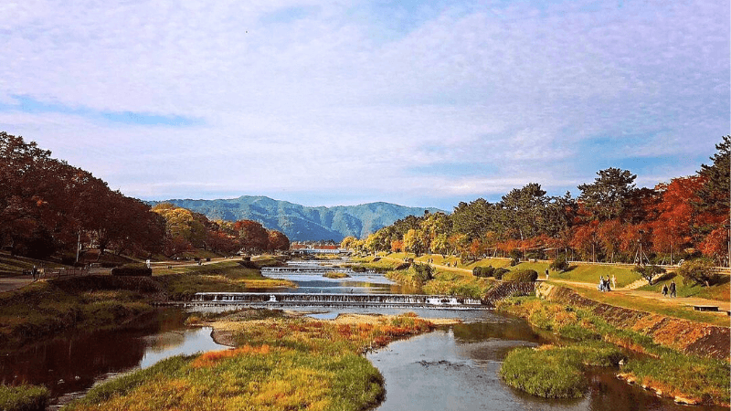 Kinh nghiệm du lịch Đài Loan mùa thu