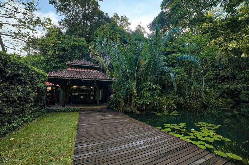 Khu vườn Tropical Spice nổi tiếng khi du lịch Penang