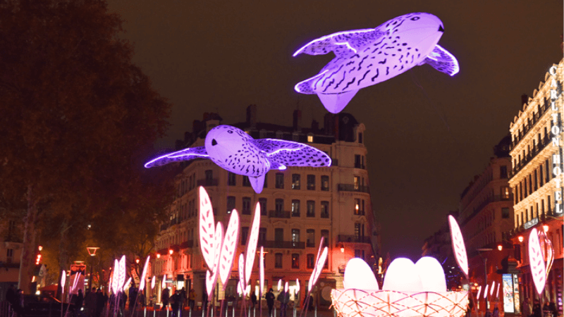 Lễ hội ánh sáng rực rỡ tại Pháp