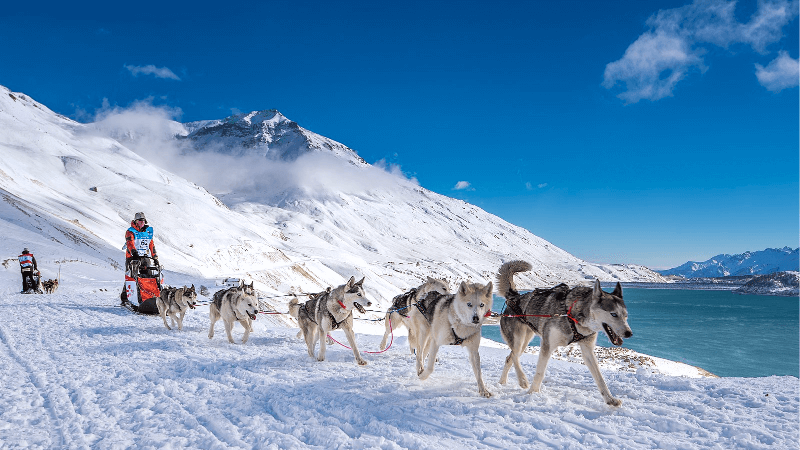 Lễ hội La Grande Odyssée Savoie Mont Blanc