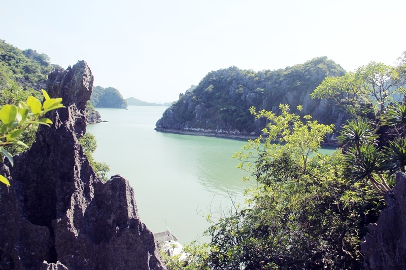 Vườn quốc gia Bái Tử Long hấp dẫn du khách