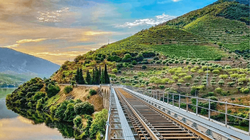 Địa điểm du lịch châu Âu thung lũng Douro