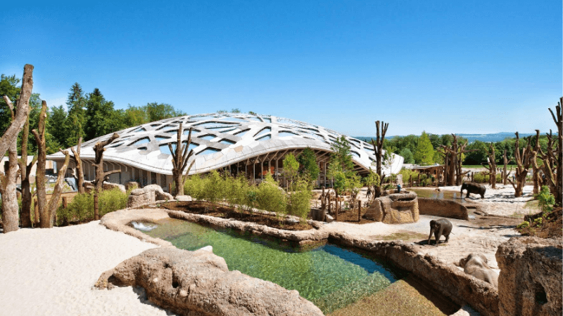 Sở thú Zurich điểm du lịch thú vị ở Thụy Sĩ