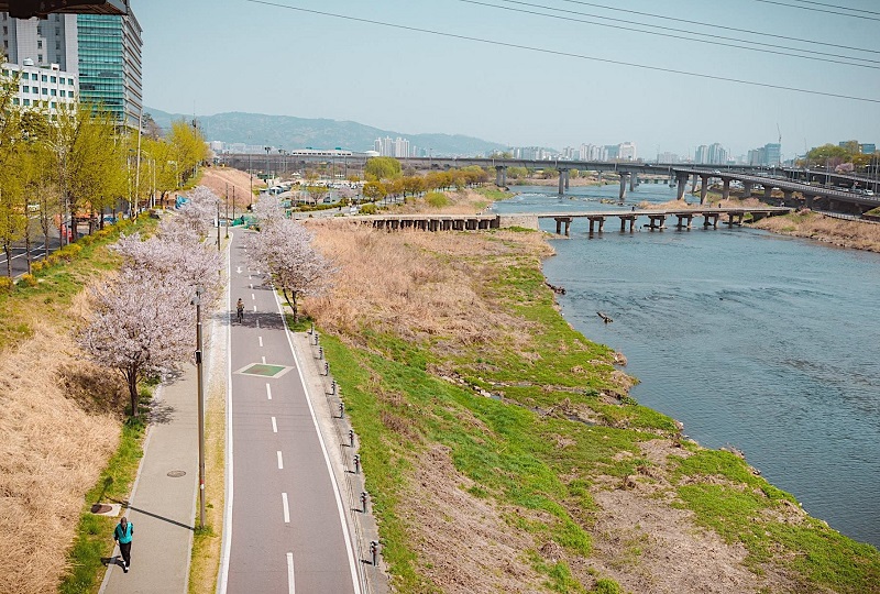 Sông Hàn êm ả trong tiết trời xuân