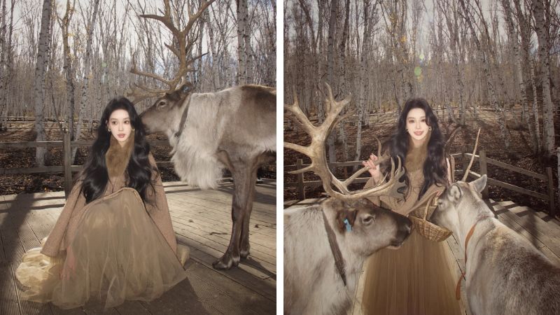 T&aacute;ch biệt với đ&ocirc; thị tại rừng bạch dương