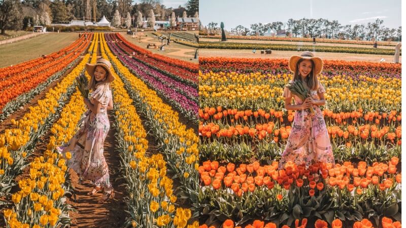 Kinh nghiệm du lịch Úc - Gợi ý trang phục trong mùa xuân